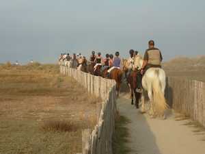 chevaux plage